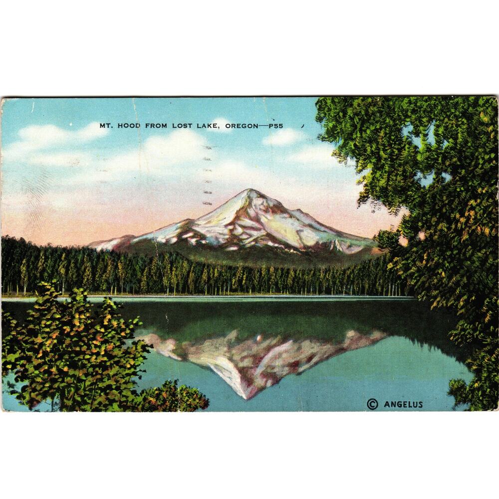 Vintage Mt Hood from Lost Lake Oregon Postcard Color‎ Scenic View Angelus